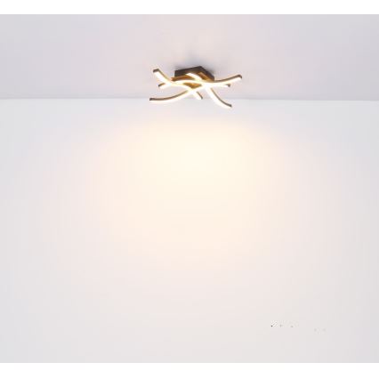 Globo - LED plafonski luster 4xLED/5W/230V
