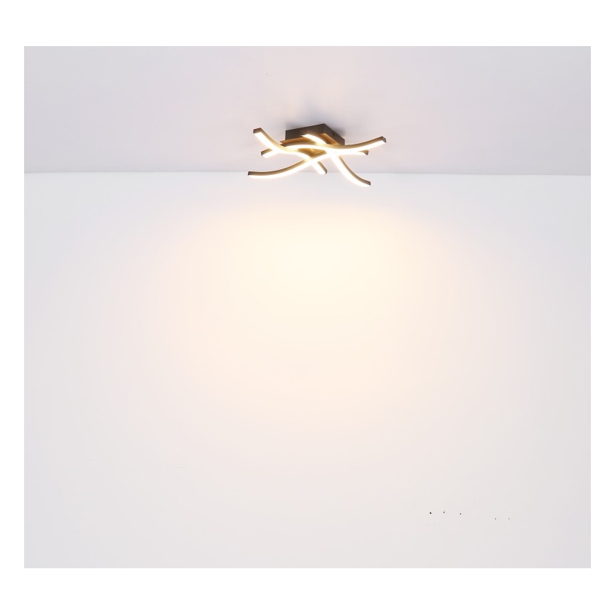 Globo - LED plafonski luster 4xLED/5W/230V