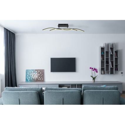 Globo 67172D - LED plafonsko svetlo MARIUS LED/20W/230V 3000K
