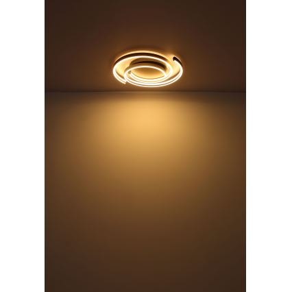 Globo - LED plafonsko svetlo LED/38W/230V