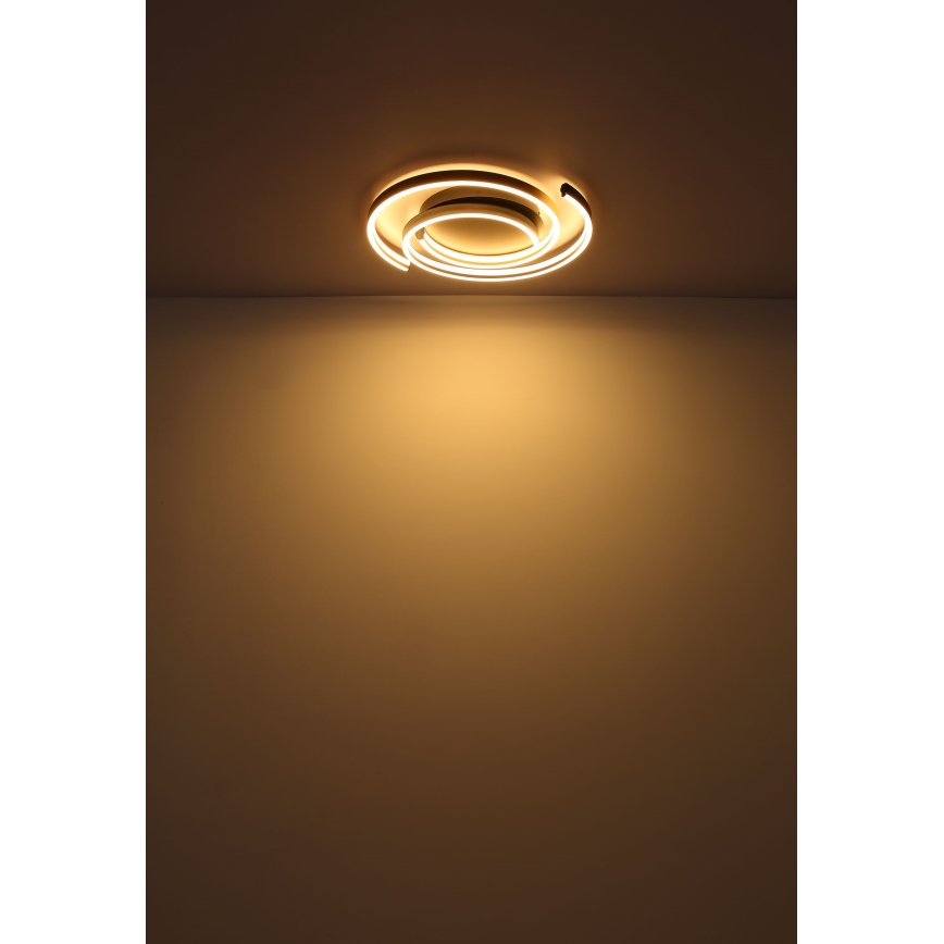 Globo - LED plafonsko svetlo LED/38W/230V