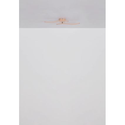 Globo - LED plafonski luster LED/12W/230V 3000K narandžasta
