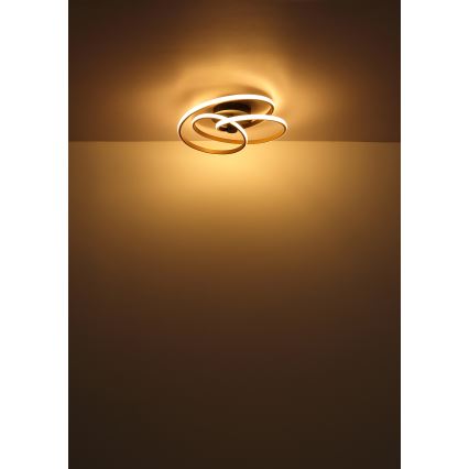 Globo - LED plafonski luster LED/40W/230V 3000K zlatna/crna