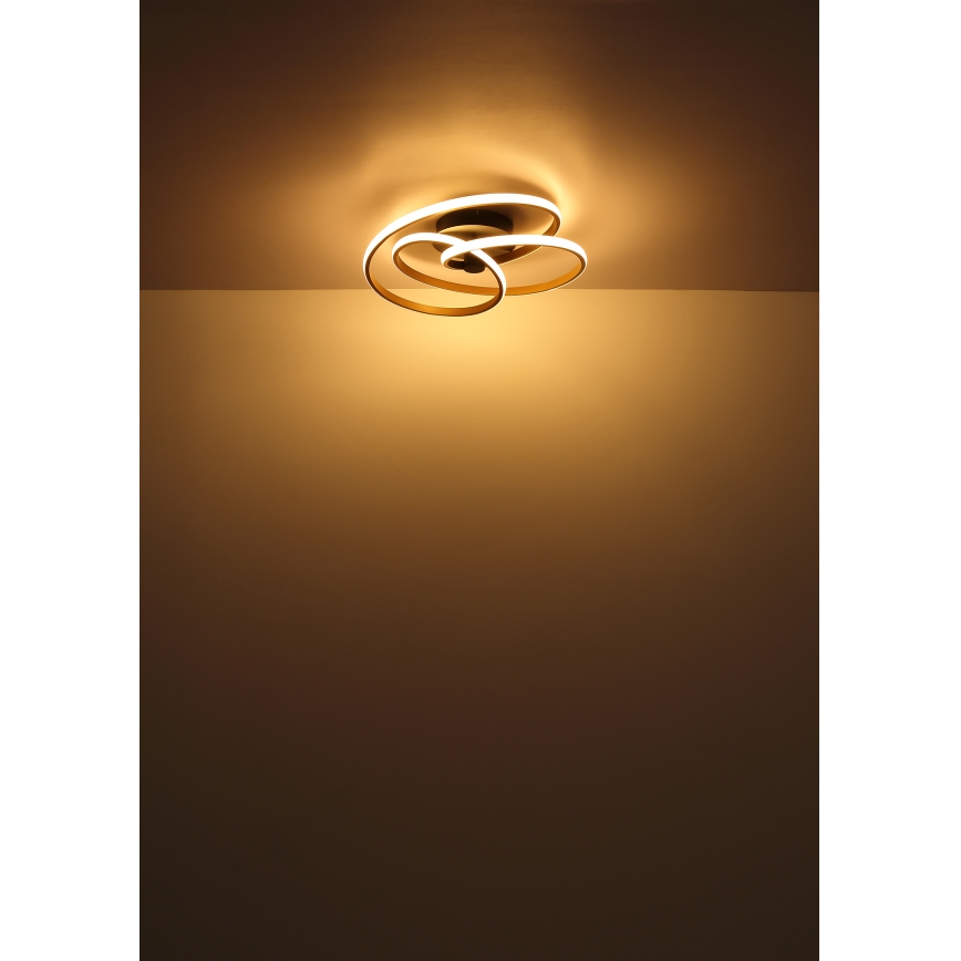 Globo - LED plafonski luster LED/40W/230V 3000K zlatna/crna