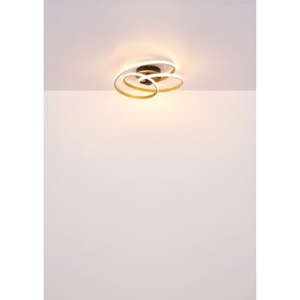 Globo - LED plafonski luster LED/40W/230V 3000K zlatna/crna
