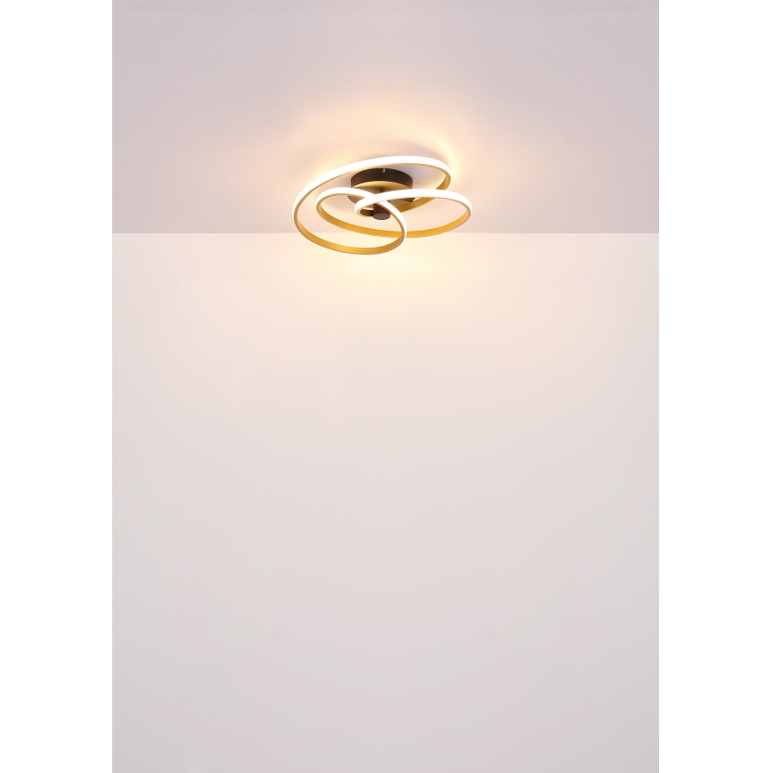 Globo - LED plafonski luster LED/40W/230V 3000K zlatna/crna