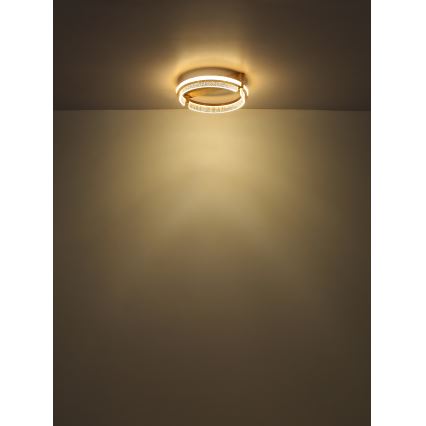 Globo - LED prigušiva kristalna plafonska svetiljka LED/36W/230V 2700K-6000K + daljinski upravljač