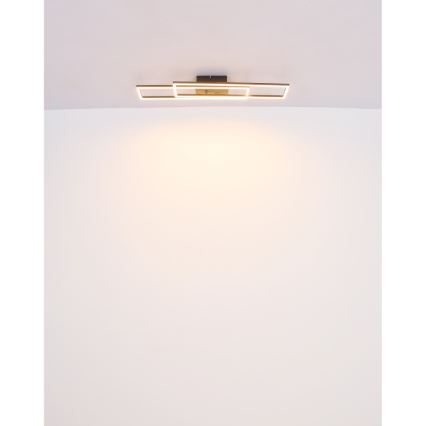 Globo - LED plafonsko svetlo LED/30W/230V 3000K 60x80 cm crno