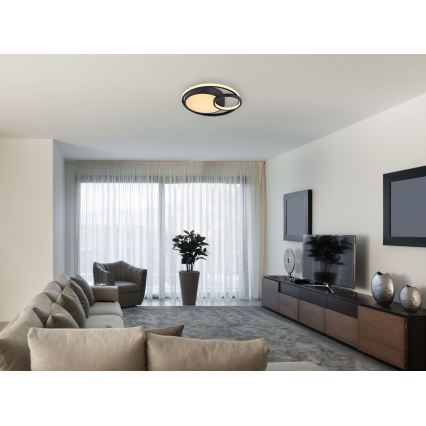 Globo - LED plafonsko svetlo LED/36W/230V