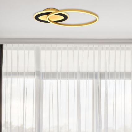 Globo - LED Prislonjena stropna svetiljka LED/24W/230V