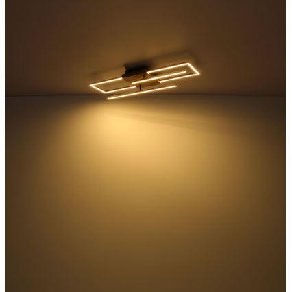 Globo - LED plafonsko svetlo LED/18W/230V