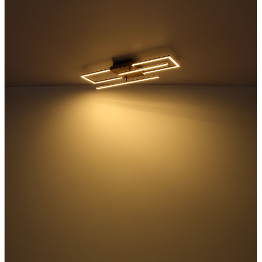 Globo - LED plafonsko svetlo LED/18W/230V