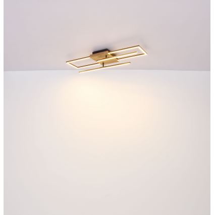 Globo - LED plafonsko svetlo LED/18W/230V