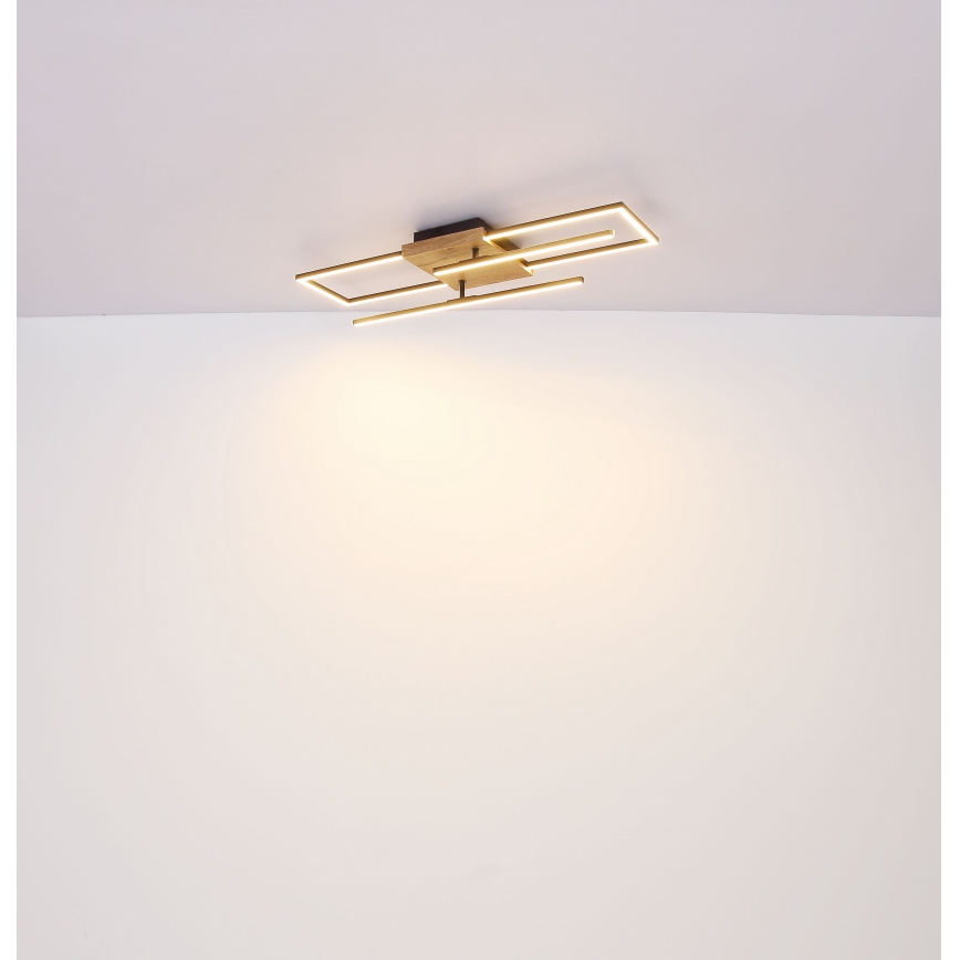 Globo - LED plafonsko svetlo LED/18W/230V