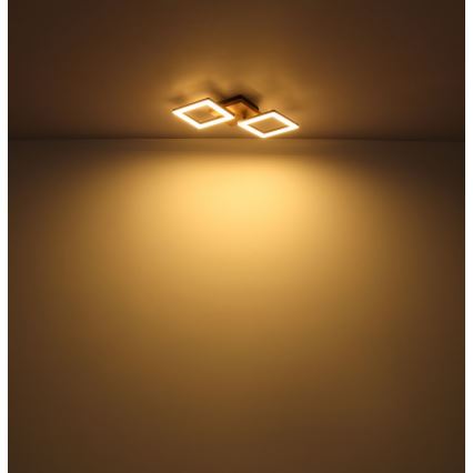 Globo - LED plafonski luster LED/18W/230V
