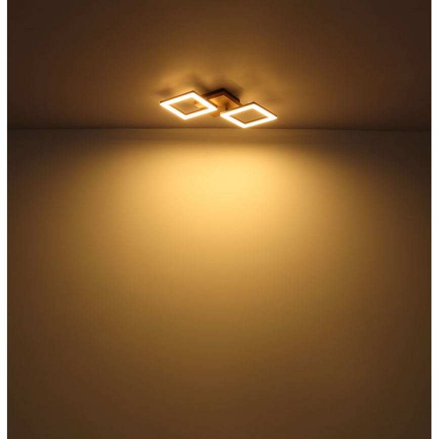 Globo - LED plafonski luster LED/18W/230V