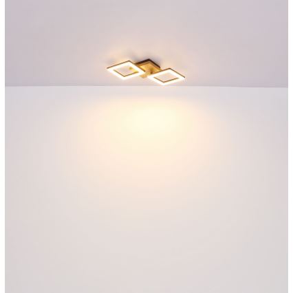 Globo - LED plafonski luster LED/18W/230V