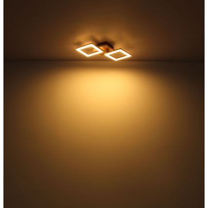 Globo - LED plafonski luster LED/30W/230V
