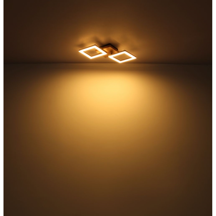 Globo - LED plafonski luster LED/30W/230V