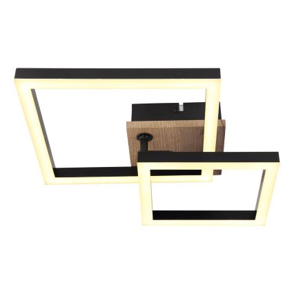 Globo - LED plafonska svetiljka LED/15W/230V 3000K