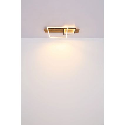 Globo 67289D1 - LED plafonsko svetlo VANNI LED/24W/230V 40x75 cm braon/crna