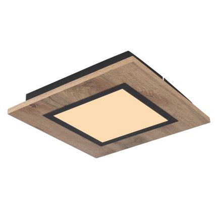 Globo - LED Plafonsko svetlo LED/12W/230V