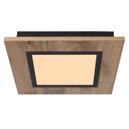 Globo - LED Plafonsko svetlo LED/12W/230V