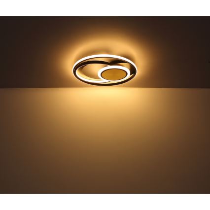 Globo - LED plafonsko svetlo LED/24W/230V