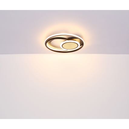 Globo - LED plafonsko svetlo LED/24W/230V