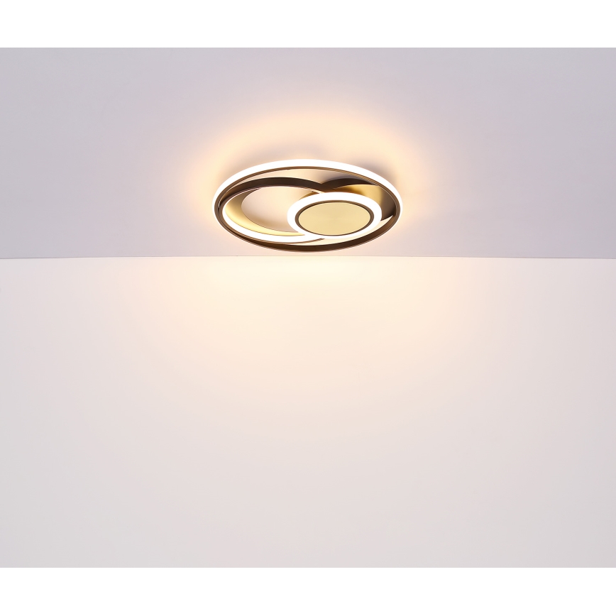 Globo - LED plafonsko svetlo LED/24W/230V