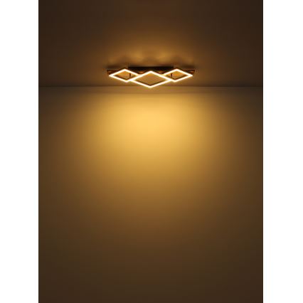 Globo - LED plafonsko svetlo LED/24W/230V