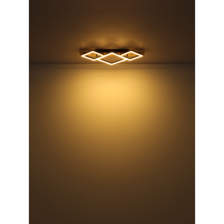 Globo - LED plafonsko svetlo LED/24W/230V