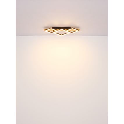 Globo - LED plafonsko svetlo LED/24W/230V
