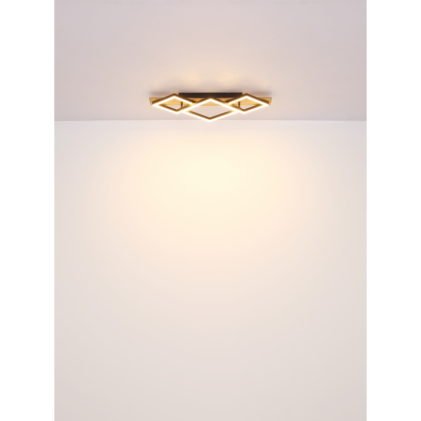 Globo - LED plafonsko svetlo LED/24W/230V