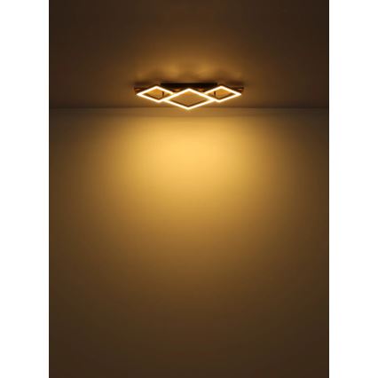 Globo - LED stropna svetiljka LED/24W/230V