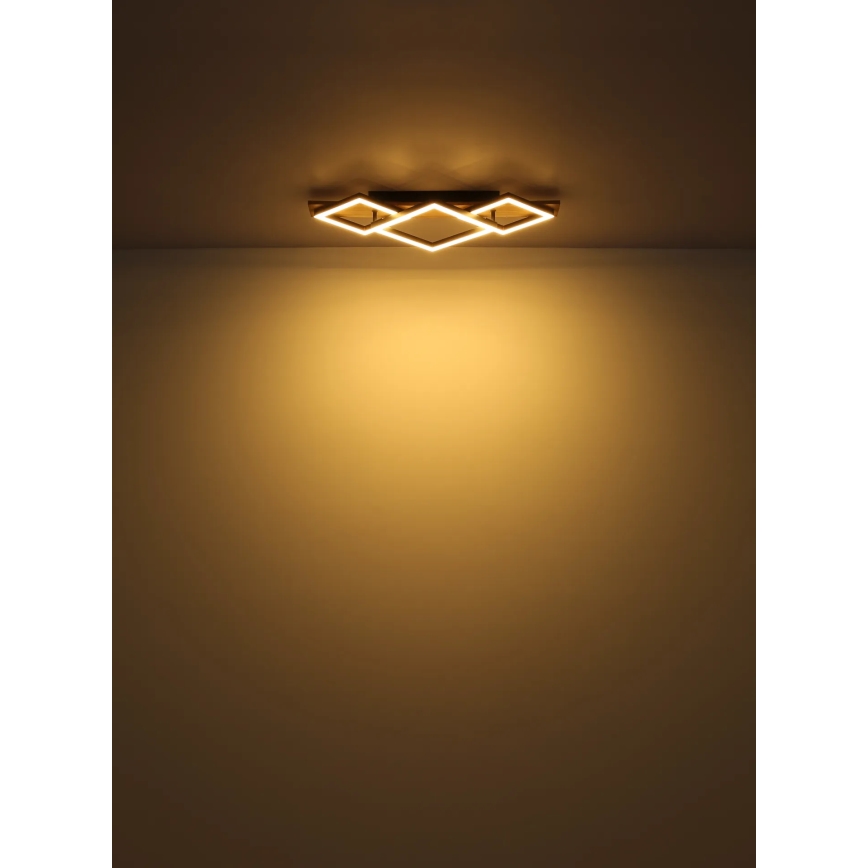 Globo - LED stropna svetiljka LED/24W/230V
