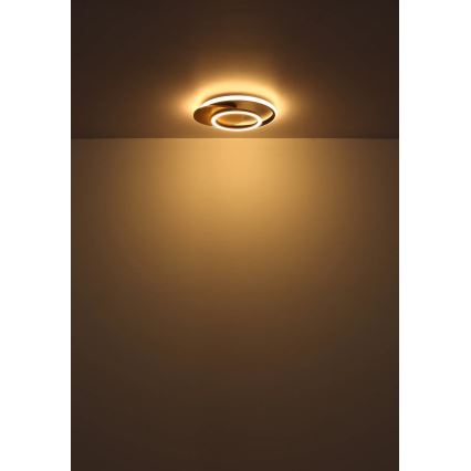 Globo - LED Stropno svetlo LED/24W/230V