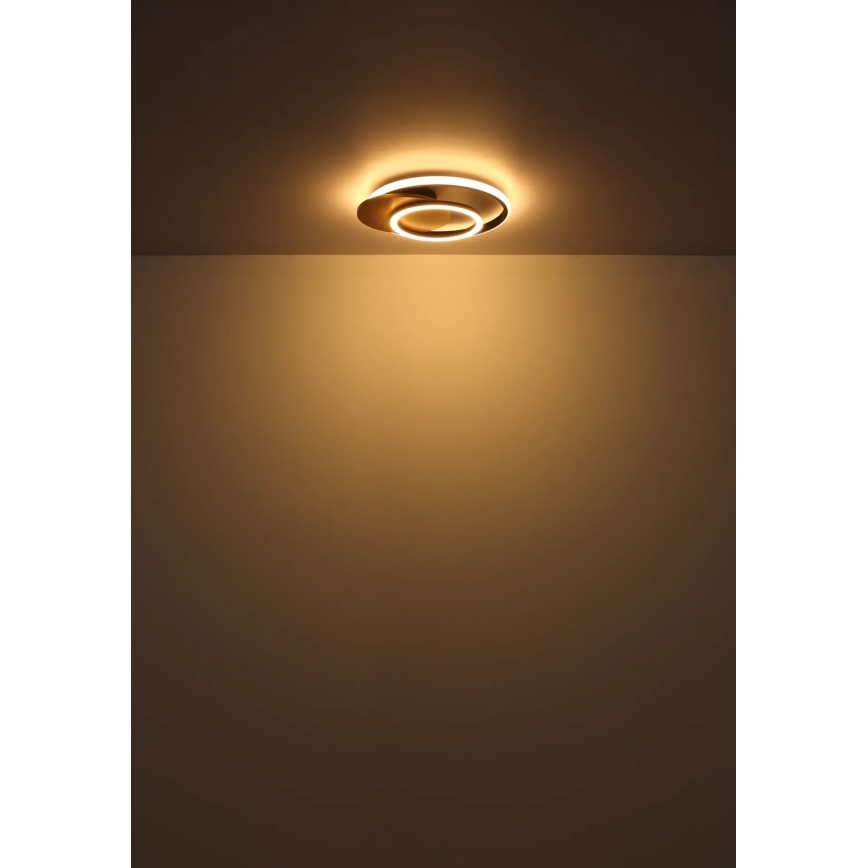 Globo - LED Stropno svetlo LED/24W/230V