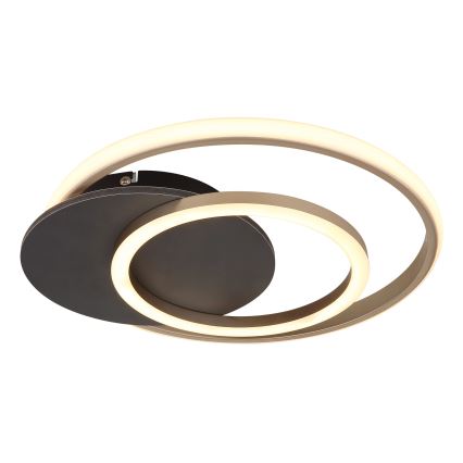 Globo - LED Stropno svetlo LED/24W/230V