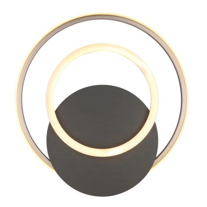 Globo - LED Stropno svetlo LED/24W/230V