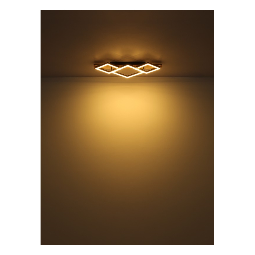 Globo - LED plafonsko svetlo LED/24W/230V + LED/8W 3000K 31x61cm