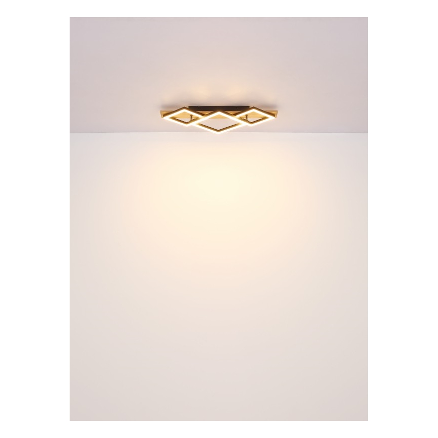 Globo - LED plafonsko svetlo LED/24W/230V + LED/8W 3000K 31x61cm