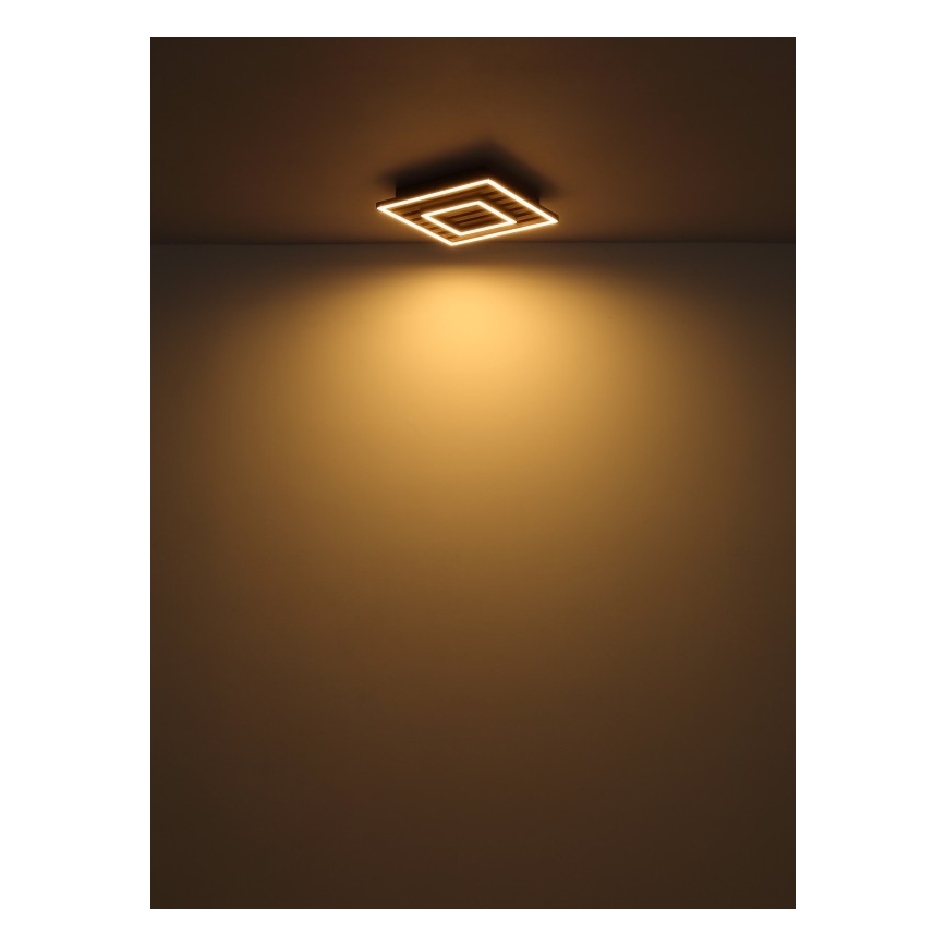 Globo - plafonsko LED svetlo 18W/230V 3000K 30x30 cm
