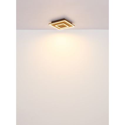 Globo - plafonsko LED svetlo 18W/230V 3000K 30x30 cm