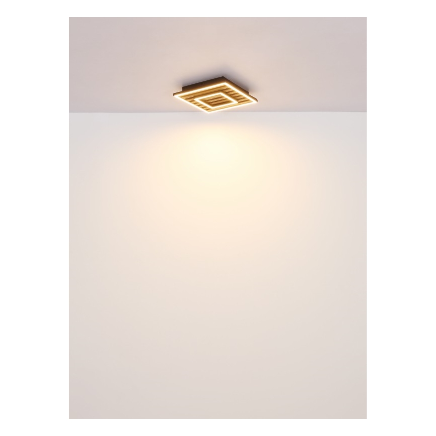 Globo - plafonsko LED svetlo 18W/230V 3000K 30x30 cm