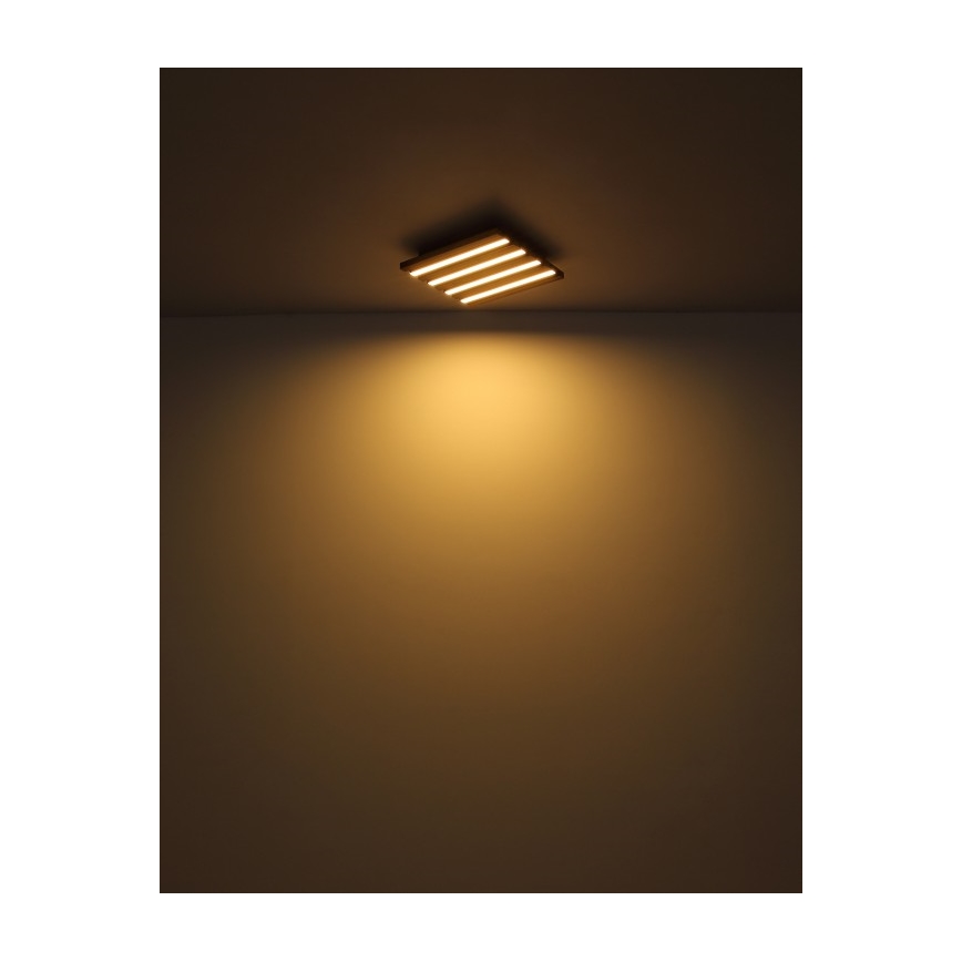 Globo - LED plafonjera LED/15W/230V 3000K 30x30 cm