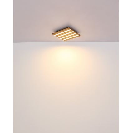 Globo - LED plafonjera LED/15W/230V 3000K 30x30 cm