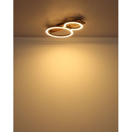 Globo - LED plafonsko svetlo LED/18W/230V 3000K 30x48 cm