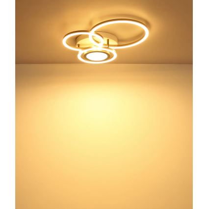 Globo - LED plafonska svetiljka LED/40W/230V 3000K 49x39 cm