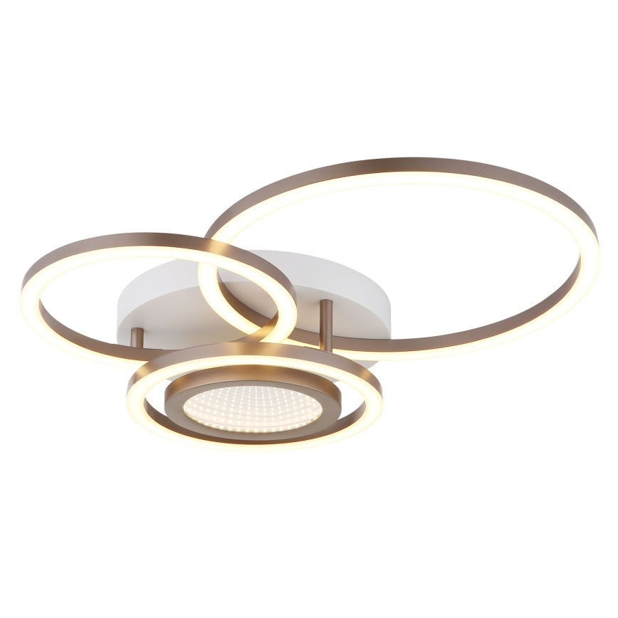 Globo - LED plafonska svetiljka LED/40W/230V 3000K 49x39 cm